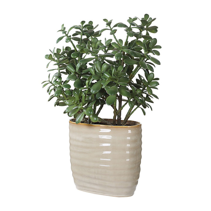 Uttermost - 60226 - Accent Plant - Crassula Jade - Textured Tan