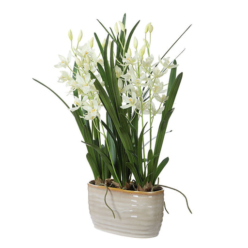 Ariana Orchid Planter