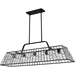 Quoizel - QLC6176MBK - Five Light Linear Chandelier - Rainier - Matte Black