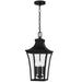 Quoizel - QTN1910EK - Four Light Outdoor Hanging Lantern - Quentin - Earth Black