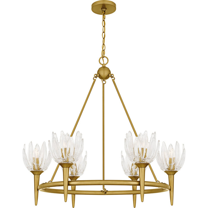 Quoizel - SHA5032BRG - Six Light Chandelier - Shea - Brushed Gold