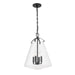 Crystorama - VSS-7015-MK - Four Light Pendant - Voss - Matte Black
