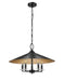 Z-Lite - 1953-22MB - Five Light Pendant - Rialto - Matte Black
