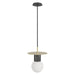 Avenue Lighting - HF1951-BB-BK - One Light Pendant - Newport - Brushed Brass / Black