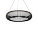 Modern Forms - PD-80528-30-BK - LED Pendant - Lute - Black