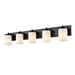 DVI Lighting - DVP14055EB-OP - Five Light Vanity - Riverview - Ebony
