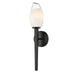 DVI Lighting - DVP33299EB-ICE - One Light Wall Sconce - Javelin - Ebony
