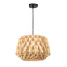 DVI Lighting - DVP36720BK-NW - One Light Pendant - Lac St-Jean - Black