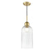 DVI Lighting - DVP37621BR-RIC - One Light Pendant, - Hariette - Brass