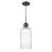 DVI Lighting - DVP37621EB-RIC - One Light Pendant, - Hariette - Ebony