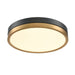 DVI Lighting - DVP39352BR+GR - LED Flush Mount - Temagami - Brass/Graphite