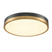 DVI Lighting - DVP39362BR+GR - LED Flush Mount - Temagami - Brass/Graphite