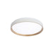 DVI Lighting - DVP40248GD+MW - LED Flush Mount - Hudson - Gold/Matte White