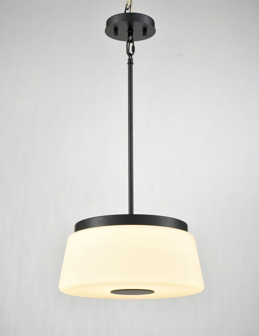 DVI Lighting - DVP48505EB-TO - 16"Pendant - Robson Hall - Ebony