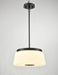 DVI Lighting - DVP48505EB-TO - 16"Pendant - Robson Hall - Ebony