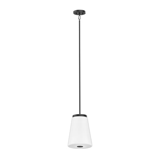 Robson Hall One Light Pendant Satin Nickel