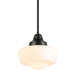 DVI Lighting - DVP7551EB - One Light Pendant - Schoolhouse - Ebony