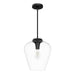 Hunter - 49011 - One Light Pendant - Vidria - Matte Black