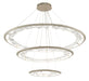 Lib & Co. - 12165-041 - LED Chandelier - Nettuno - Brushed Champagne