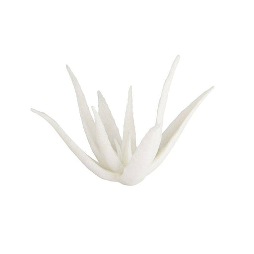Zaloe Sculpture Ivory
