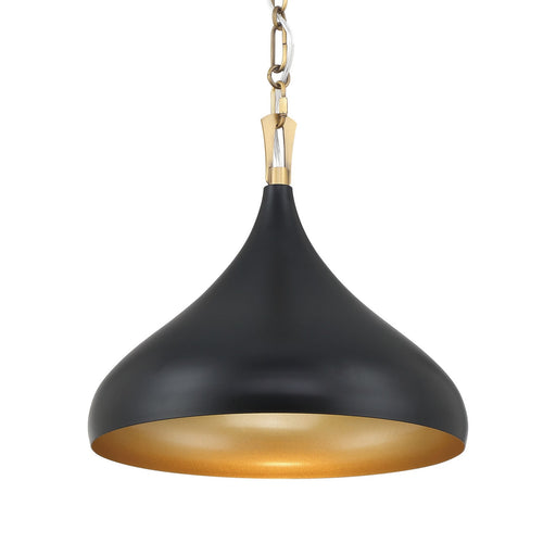 Cedar Lane One Light Pendant Legacy Brass & Matte Coal