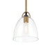 Minka-Lavery - 5711-876 - One Light Pendant - Sommersby - Legacy Brass & Matte Coal