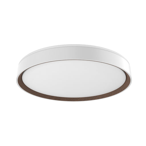 Essex LED Flush Mount White