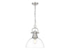 Golden - 3602-L PW-CLR - One Light Pendant - Duncan - Pewter