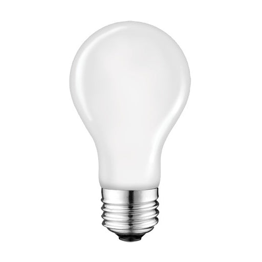 Light Bulb