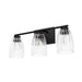 Hunter - 13103 - Three Light Bathroom Vanity - Rossmoor - Matte Black