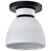 Nuvo Lighting - 60-8011 - Flush Mount - Collins - Matte Black