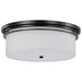 Nuvo Lighting - 60-8034 - Flush Mount - Warren - Gun Metal