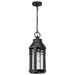 Nuvo Lighting - 60-8104 - One Light Hanging Lantern - Wilton - Matte Black