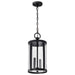 Nuvo Lighting - 60-8115 - Two Light Hanging Lantern - Broadstone - Matte Black