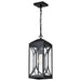Nuvo Lighting - 60-8125 - One Light Hanging Lantern - Oaklyn - Matte Black