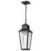 Nuvo Lighting - 60-8135 - One Light Hanging Lantern - Lawrence - Matte Black