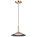 Nuvo Lighting - 62-2091 - LED Pendant - Corrine - Burnished Brass