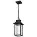 Nuvo Lighting - 62-5996 - LED Pendant - Austen - Matte Black