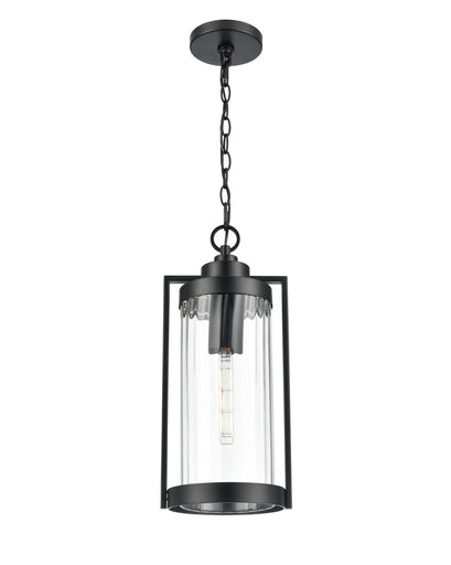 Braselton One Light Outdoor Hanging Lantern Powder Coated Black