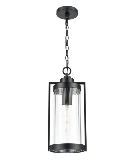 Millennium - 192401-PBK - One Light Outdoor Hanging Lantern - Braselton - Powder Coated Black