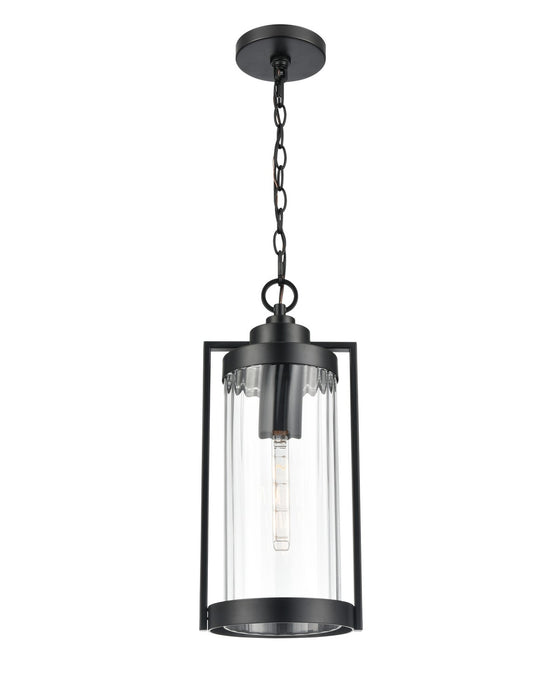 Millennium - 192401-PBK - One Light Outdoor Hanging Lantern - Braselton - Powder Coated Black