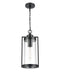 Millennium - 192401-PBK - One Light Outdoor Hanging Lantern - Braselton - Powder Coated Black