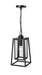 Millennium - 198602-PBK - One Light Outdoor Hanging Lantern - Denzell - Powder Coated Black