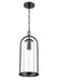 Millennium - 199801-PBK - One Light Outdoor Hanging Lantern - Luxio - Powder Coated Black