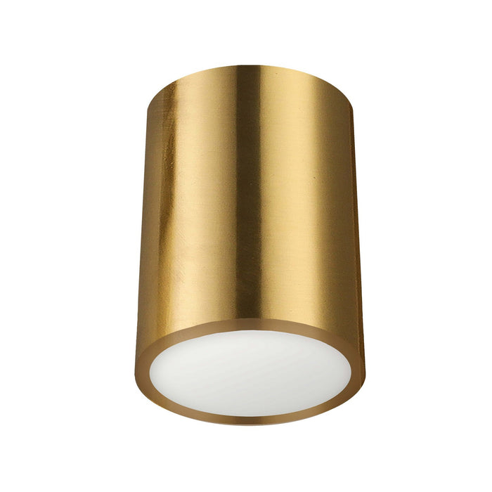 Dainolite Ltd - ECO-C512-AGB - LED Flush Mount - Echo - Aged Brass