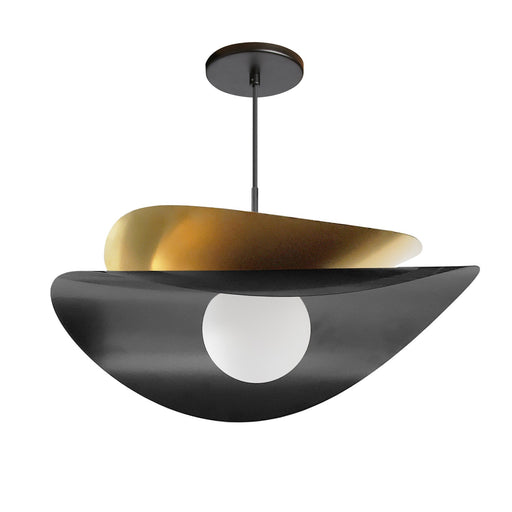 Paven One Light Pendant Matte Black