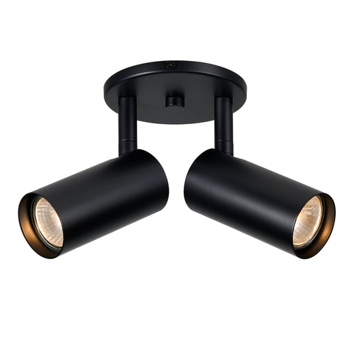 Stanly Two Light Spotlight Matte Black