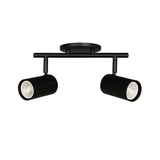 Taylor Two Light Track Light Matte Black