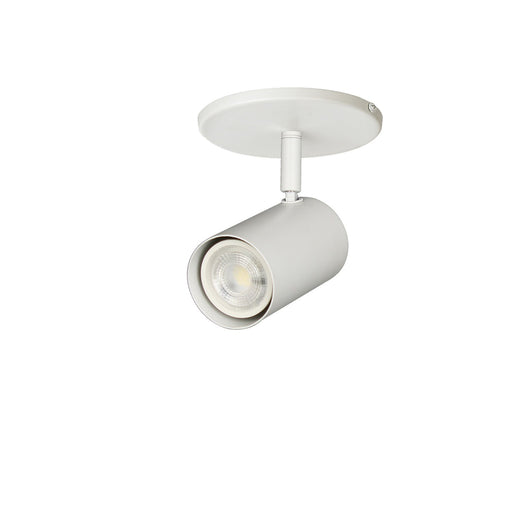 Taylor One Light Spot Light Matte White