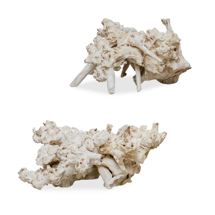 Uttermost - 17141 - Sculpture - Elemental Root - Bleached Residi Wood